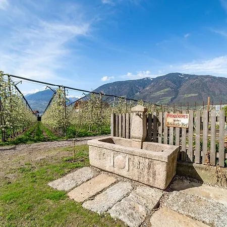 Rosa Unterschoeberlehof - Eliza Merano