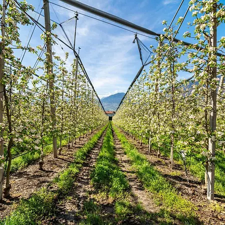 Daire Rosa Unterschoeberlehof - Eliza