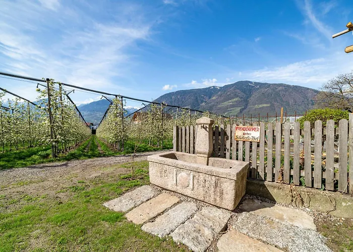 Rosa Unterschoeberlehof - Eliza Merano