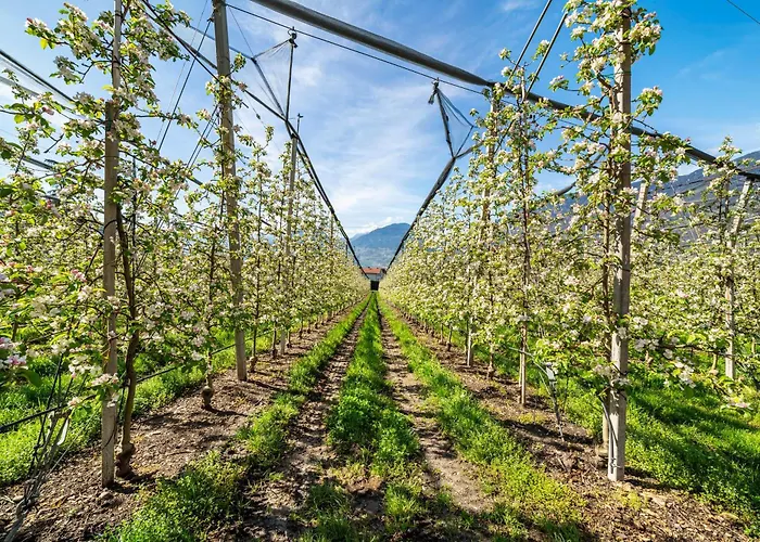 Lejlighed Rosa Unterschoeberlehof - Eliza